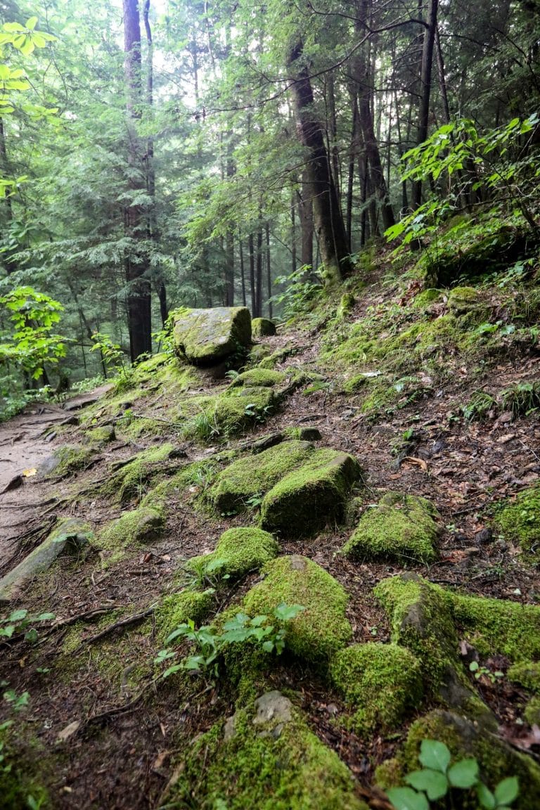 The Spiritual Connection to Earth’s Energy