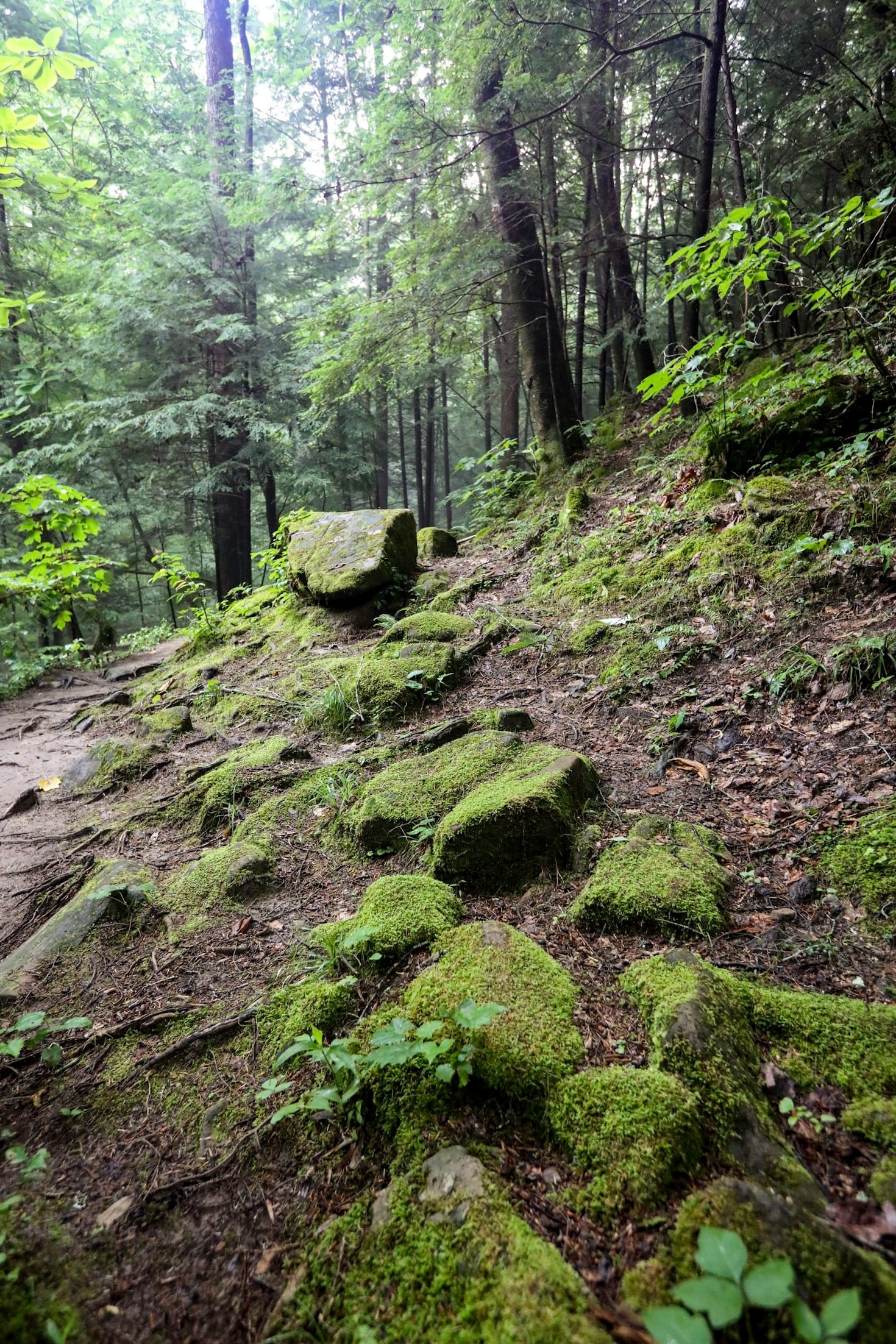 The Spiritual Connection to Earth’s Energy